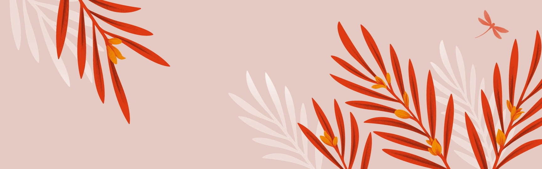 Rooibos or redbush teas