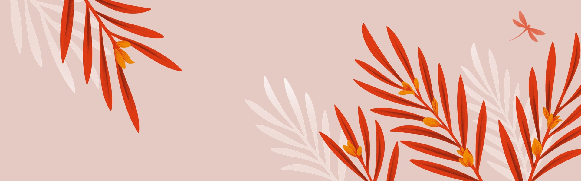 Rooibos or redbush teas