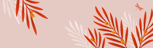 Rooibos or redbush teas
