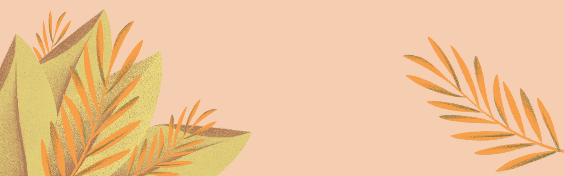 Honeybush Tea