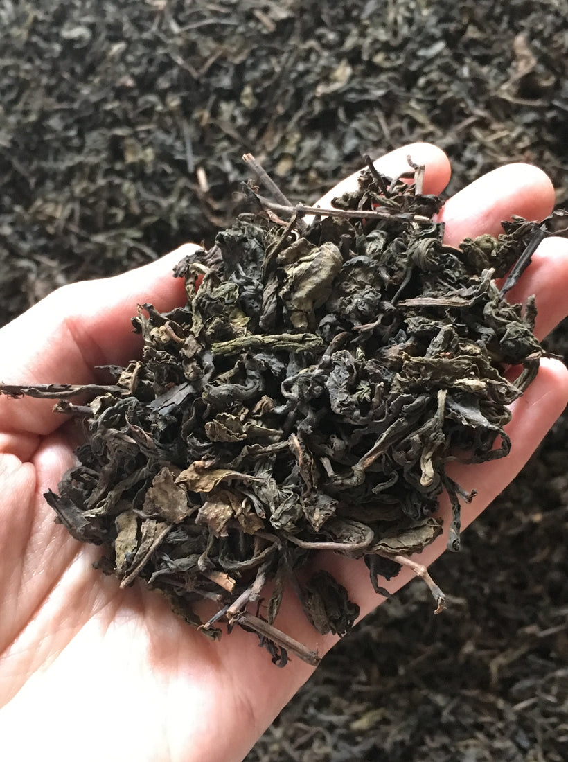 Black tea leaves Dragonfly Tea