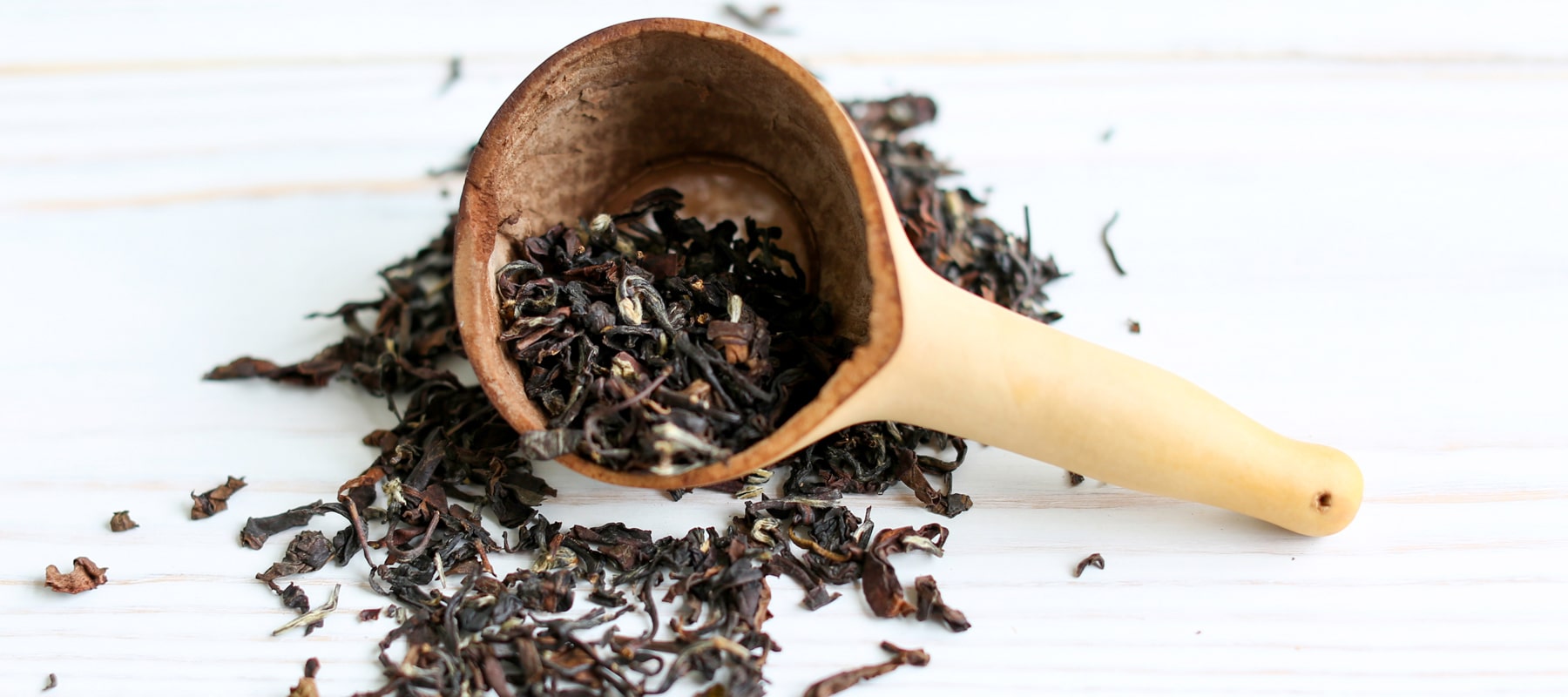 Dragonfly tea - Oolong tea guide