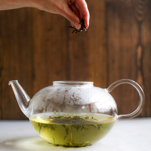 Green Fly Tea What is Green Tea – Dragonfly Tea